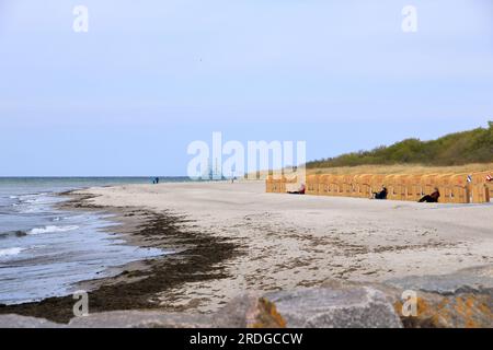 Mai 05 2023 - Wismar, Mecklenburg-Vorpommern in Deutschland: Der Strand von Timmendorf auf der ostseeinsel Poel Stockfoto