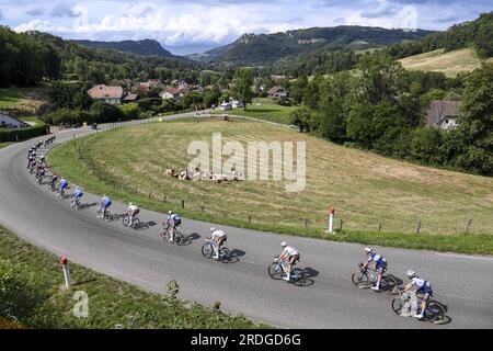 Poligny, Frankreich. 21. Juli 2023. Das Reiterpaket, das während der Etappe 19 des Radrennen Tour de France von Moirans-en-Montagne nach Poligny (172, 8 km), Frankreich, Freitag, den 21. Juli 2023, in Aktion gezeigt wurde. Die diesjährige Tour de France findet vom 01. Bis 23. Juli 2023 statt. BELGA FOTO ALEX BROADWAY Kredit: Belga News Agency/Alamy Live News Stockfoto