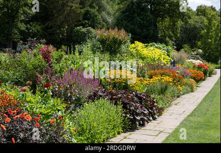 Atemberaubende, farbenfrohe Blütenränder im RHS Wisley Garden, Surrey UK. In den ausgedehnten Blumenbeeten wachsen hauptsächlich mehrjährige Pflanzen. Stockfoto