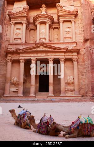 Kamele vor dem Schatzamt, Petra, Ma'an Gouvernement, Jordanien Stockfoto