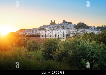 Olvera Skyline bei Sonnenuntergang mit Olivenbäumen - Olvera, Andalusien, Spanien Stockfoto