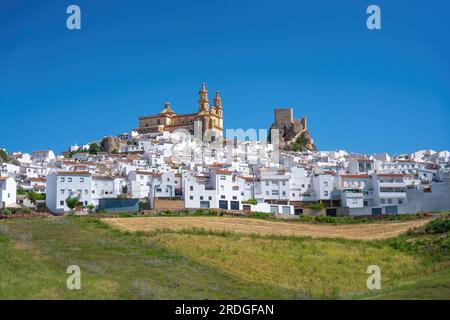 Skyline von Olvera mit Schloss und Kirche Nuestra Senora de la Encarnacion - Olvera, Andalusien, Spanien Stockfoto