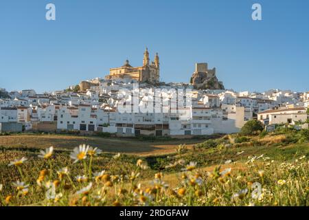 Olvera Skyline bei Sonnenuntergang mit Wildblumen - Olvera, Andalusien, Spanien Stockfoto