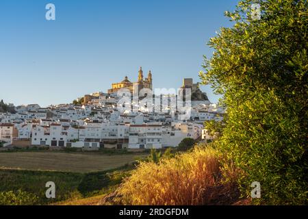 Skyline von Olvera bei Sonnenuntergang mit Schloss und Kirche - Olvera, Andalusien, Spanien Stockfoto