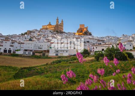 Skyline von Olvera bei Sonnenuntergang mit beleuchtetem Schloss und Kirche - Olvera, Andalusien, Spanien Stockfoto