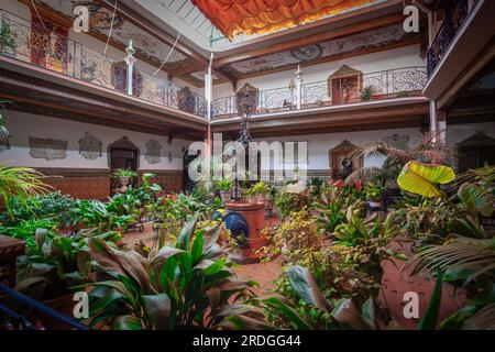 Innenhof mit Pflanzen im Inneren des Los Remedios Sanctuary - Olvera, Andalusien, Spanien Stockfoto