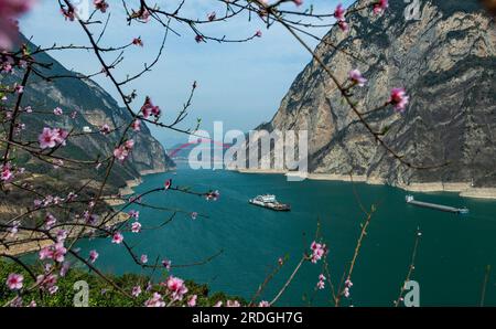 (230721) -- YICHANG, 21. Juli 2023 (Xinhua) -- Dieses Foto wurde am 11. März 2023 aufgenommen und zeigt die Landschaft der Xiling Gorge, einer der drei Schluchten am Yangtze, in der Provinz Hubei in Zentralchina. Das drei-Schluchten-Reservoir liegt im oberen Bereich des Jangtse-Flusses und ist ein wichtiges ökologisches Funktionsgebiet und ein Reservoir an Süßwasserressourcen in China. Die drei Schluchten - Qutang, Wuxia und Xiling Schluchten - bieten steile Klippen, berühmte malerische Orte und historische Stätten. (Foto: Zheng Jiayu/Xinhua) Stockfoto