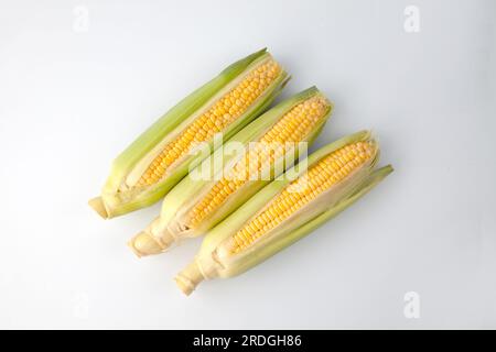 Vergrößerung von rohem Maiskolben auf weißem Hintergrund isoliert Stockfoto