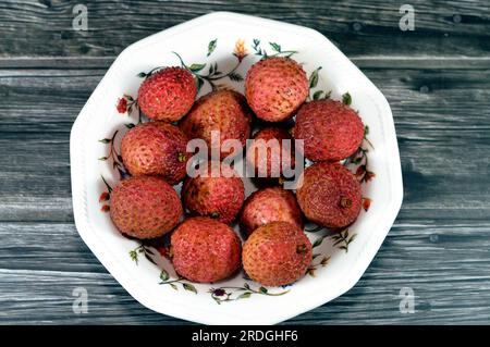 Lychee Fruit, Litchi chinensis, ein monotypes Taxon und das einzige Mitglied der Gattung Litchi in der Seifenbeerfamilie, Sapindaceae, ein einheimischer tropischer Baum Stockfoto