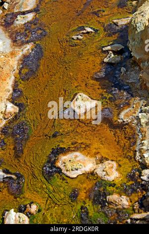 Rio Tinto saures Wasser aus den Riotinto-Minen. Dieses giftige Wasser enthält Schwermetalle und extreophile Bakterien (Acidithiobacillus ferrooxidans und L Stockfoto