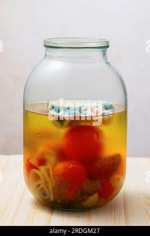 Schimmel in einem Glas eingelegter Tomaten Stockfoto