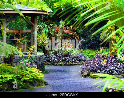 Wishing Well, komplett mit Holzeimer und blühenden Orchideen, sitzt im National Tropical Botanical Garden auf der Big Island von Hawaii. Stockfoto