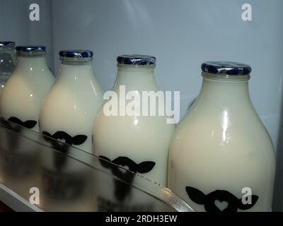 Reihe von 1 Pint Glas-Milchflaschen mit Markenlogo und Folienoberflächen voller frischer Milch in offener Hauskühlschranktür von der örtlichen Milchfarm in Leicestershire, Großbritannien Stockfoto