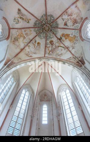 Deckengemälde Kirche Noordbroek Stockfoto