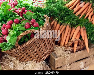 Frisch geerntetes Gemüse aus ökologischem Anbau, das auf einem Marktstand zum Verkauf auf dem Bauernmarkt aufgestapelt ist Stockfoto