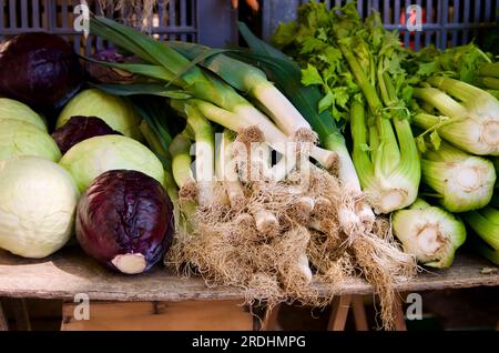 Frisches, gesundes Gemüse als Kohl, Lauch und Stangensellerie, das im Sommer auf dem Bauernmarkt verkauft wird. Stockfoto