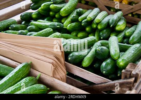 Frische grüne Gurken in Holzkisten zum Verkauf auf dem Bauernmarkt. Stockfoto