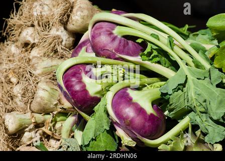 Kohlrabi auf frisch geerntetem Knoblauch auf dem Bauernmarkt auf der Insel Malta. Stockfoto