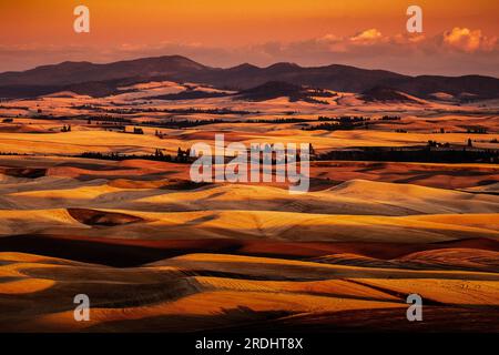 Sanfte Hügel und die Palouse Range im Spätsommer, bei Sonnenuntergang, Idaho und Washington. Stockfoto