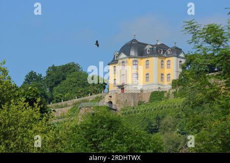 Blick auf die Rokoko-Burg auf dem Berg, Dornburger Burgen, Dornburg-Camburg, Thüringen, Deutschland Stockfoto