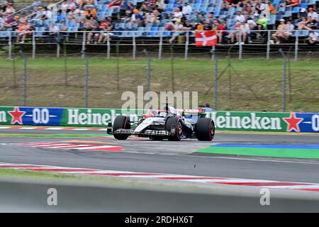 Budapest, Ungarn. 21. Juli 2023. 21. Juli 2023, Hungaroring, Budapest, Formel 1 Grand Prix von Ungarn 2023, im Bild Daniel Ricciardo (AUS), Scuderia AlphaTauri Credit: dpa/Alamy Live News Stockfoto