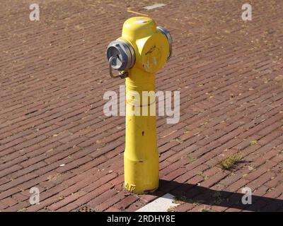 Gelber Feuerhydrant in Nijmegen, Niederlande Stockfoto