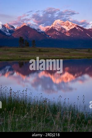 Schneebedeckte Gipfel der Mission Mountain Range spiegeln sich in einem kleinen Teich bei Ronan, Lake County, Montana, USA, wider Stockfoto