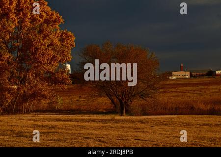 Sunrise Light im South East City Park, Canyon Texas, mit Herbstfarben in den Cottonwoods. Stockfoto