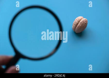 Konzept der Welt psychische Gesundheit, Probleme, Chaos im Kopf Schmerzen Gefühl und hartes Denken. Hand-Halten-Lupe und ein Hirnmodell. Stockfoto