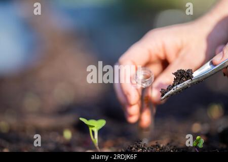 Landwirt, der Bodenproben in einem Reagenzglas auf einem Feld sammelt. Agronomist zur Prüfung von Bodenkohlenstoff und Pflanzengesundheit in einem Betrieb Stockfoto