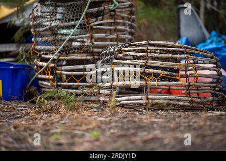 Crayfish cray Pots auf der Rückseite eines Fischerboots in tasmanien, australien Stockfoto