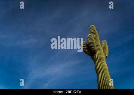 Blick auf die Berge im Papago Park in Phoenix, Arizona Stockfoto