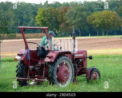 Traktor mit Landwirt, der Gras mäht Stockfoto