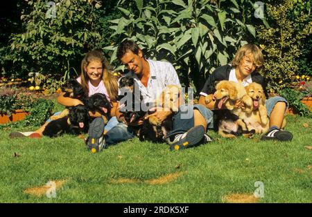 Familie mit Hovawart, Welpen Stockfoto