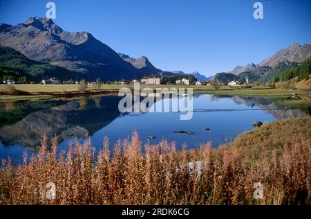 In der Nähe von Sils, Sils in der Engadine/Segl Schweiz Stockfoto