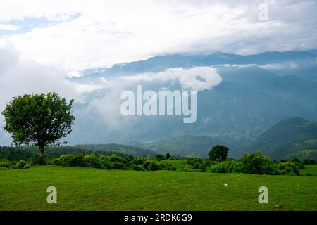 Neblige Landschaft im Dschungel. Nebel- und Wolkenberge tropische Talllandschaft. Luftaufnahme, weites, nebiges Panorama Stockfoto