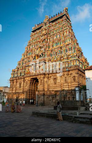 Ost-Gopuram-Turm im Thillai-Nataraja-Tempel, Chidambaram, Tamil Nadu, Südindien, Indien, Asien Stockfoto