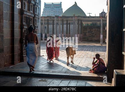 Blick auf den Tempel Thillai Nataraja vom östlichen Gopuram-Turm in Chidambaram, Tamil Nadu, Südindien, Indien, Asien Stockfoto