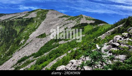 XI'an. 21. Juli 2023. Dieses Luftfoto wurde am 21. Juli 2023 aufgenommen und zeigt die Landschaft im Zhuque National Forest Park in Xi'an, Nordwestchina der Provinz Shaanxi. Der Park, der sich im oberen Bereich des Flusses Ost-Laohe und im Norden des Qinling-Gebirges befindet, erstreckt sich über eine Fläche von 2.621 Hektar, und der höchste Punkt des Bingjing-Gipfels hat eine Höhe von 3.015 Metern. Atemberaubende Landschaften wie unberührte Wälder, Gletscherreste und Wolkensee können Sie entlang der Straße zum Gipfel sehen. Kredit: Liu Xiao/Xinhua/Alamy Live News Stockfoto