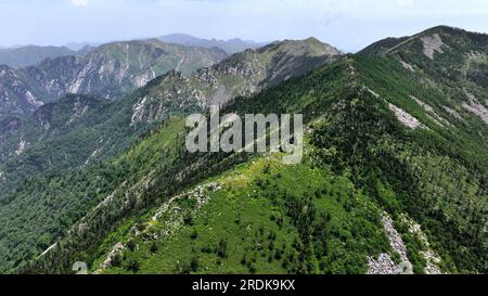 XI'an. 21. Juli 2023. Dieses Luftfoto wurde am 21. Juli 2023 aufgenommen und zeigt die Landschaft im Zhuque National Forest Park in Xi'an, Nordwestchina der Provinz Shaanxi. Der Park, der sich im oberen Bereich des Flusses Ost-Laohe und im Norden des Qinling-Gebirges befindet, erstreckt sich über eine Fläche von 2.621 Hektar, und der höchste Punkt des Bingjing-Gipfels hat eine Höhe von 3.015 Metern. Atemberaubende Landschaften wie unberührte Wälder, Gletscherreste und Wolkensee können Sie entlang der Straße zum Gipfel sehen. Kredit: Liu Xiao/Xinhua/Alamy Live News Stockfoto