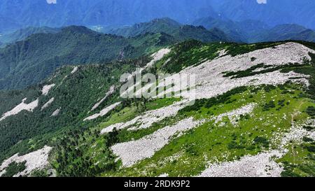 XI'an. 21. Juli 2023. Dieses Luftfoto wurde am 21. Juli 2023 aufgenommen und zeigt die Landschaft im Zhuque National Forest Park in Xi'an, Nordwestchina der Provinz Shaanxi. Der Park, der sich im oberen Bereich des Flusses Ost-Laohe und im Norden des Qinling-Gebirges befindet, erstreckt sich über eine Fläche von 2.621 Hektar, und der höchste Punkt des Bingjing-Gipfels hat eine Höhe von 3.015 Metern. Atemberaubende Landschaften wie unberührte Wälder, Gletscherreste und Wolkensee können Sie entlang der Straße zum Gipfel sehen. Kredit: Liu Xiao/Xinhua/Alamy Live News Stockfoto