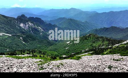 XI'an. 21. Juli 2023. Dieses Luftfoto wurde am 21. Juli 2023 aufgenommen und zeigt die Landschaft im Zhuque National Forest Park in Xi'an, Nordwestchina der Provinz Shaanxi. Der Park, der sich im oberen Bereich des Flusses Ost-Laohe und im Norden des Qinling-Gebirges befindet, erstreckt sich über eine Fläche von 2.621 Hektar, und der höchste Punkt des Bingjing-Gipfels hat eine Höhe von 3.015 Metern. Atemberaubende Landschaften wie unberührte Wälder, Gletscherreste und Wolkensee können Sie entlang der Straße zum Gipfel sehen. Kredit: Liu Xiao/Xinhua/Alamy Live News Stockfoto