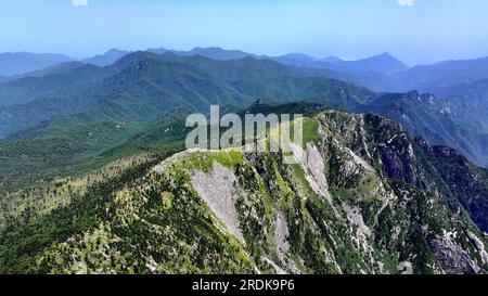 XI'an. 21. Juli 2023. Dieses Luftfoto wurde am 21. Juli 2023 aufgenommen und zeigt die Landschaft im Zhuque National Forest Park in Xi'an, Nordwestchina der Provinz Shaanxi. Der Park, der sich im oberen Bereich des Flusses Ost-Laohe und im Norden des Qinling-Gebirges befindet, erstreckt sich über eine Fläche von 2.621 Hektar, und der höchste Punkt des Bingjing-Gipfels hat eine Höhe von 3.015 Metern. Atemberaubende Landschaften wie unberührte Wälder, Gletscherreste und Wolkensee können Sie entlang der Straße zum Gipfel sehen. Kredit: Liu Xiao/Xinhua/Alamy Live News Stockfoto