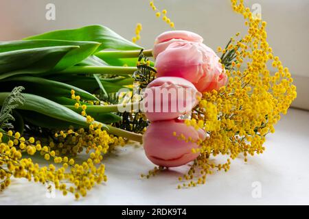 Heller Frühlingsstrauß aus Tulpen und Mimosablüten auf Weiß Stockfoto