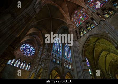 Die Kathedrale Santa María de Regla, Leon. Castilla León, Spanien. Die Kathedrale von León ist zweifellos das berühmte Wahrzeichen der Stadt. Die Geschichte beginnt in den 10 Jahren Stockfoto