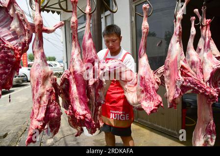 ZAOZHUANG, CHINA - 22. JULI 2023 - Ein Händler Arrangiert rohes Hammel in einem Hammelsuppenrestaurant in Xiji, Bezirk Shanting, Zaozhuang, East CH Stockfoto