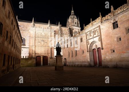 Fachada renacentista de la Universidad de Salamanca Stockfoto