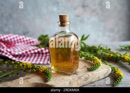 Eine Flasche hausgemachte Kräutertinktur mit frischen blühenden Agrozweigen Stockfoto