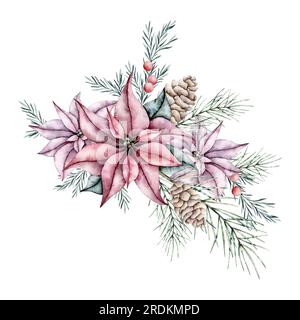 Aquarell mit roter Poinsettienblume, Kiefernzapfen, Zweigen und Rosmarin-Zweigen mit Blättern und Beeren. Botanische Winterblumen. Handgemalt Stockfoto