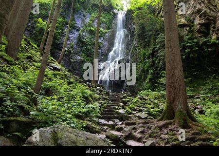 Der Burgbach-Wasserfall im Nadelwald fällt über Granitfelsen in das Tal in der Nähe von Bad Rippoldsau-Schapbach, eine Landschaft aus der Natur, Blac Stockfoto